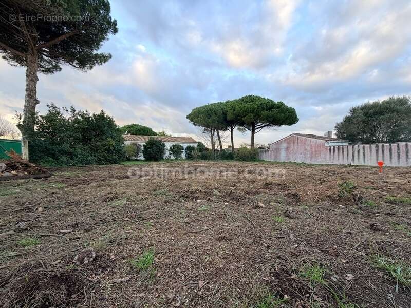 Terrain à LE BOIS-PLAGE-EN-RE