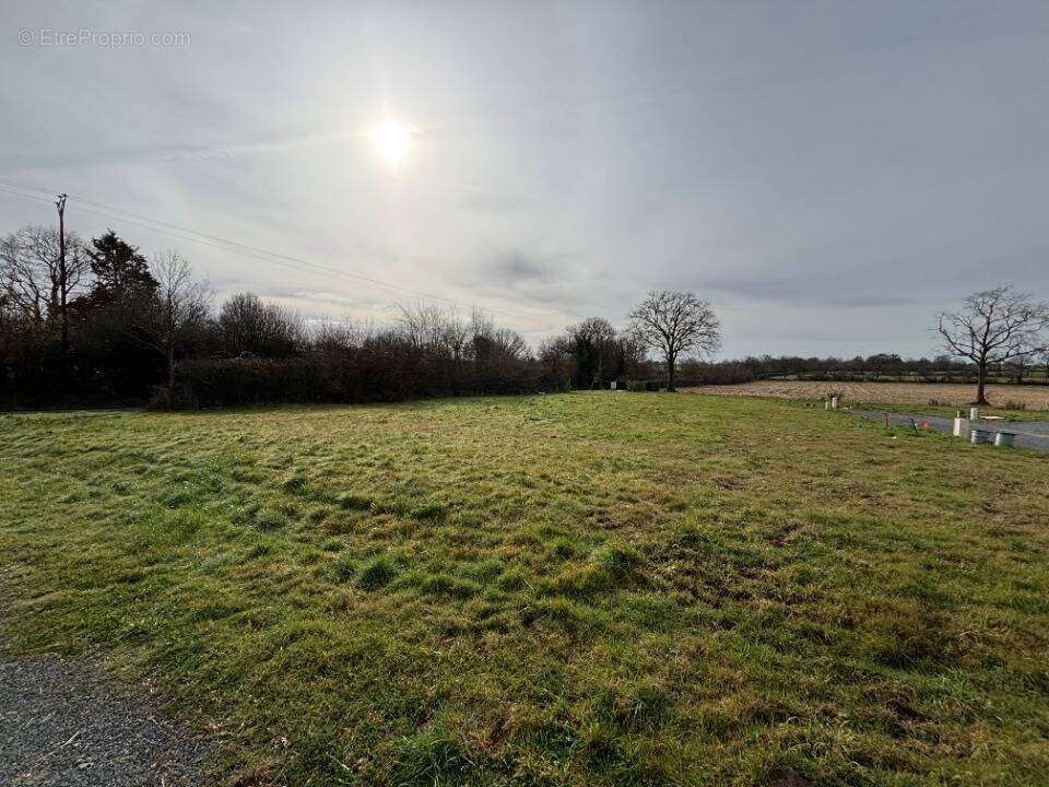 Terrain à LA MEMBROLLE-SUR-LONGUENEE