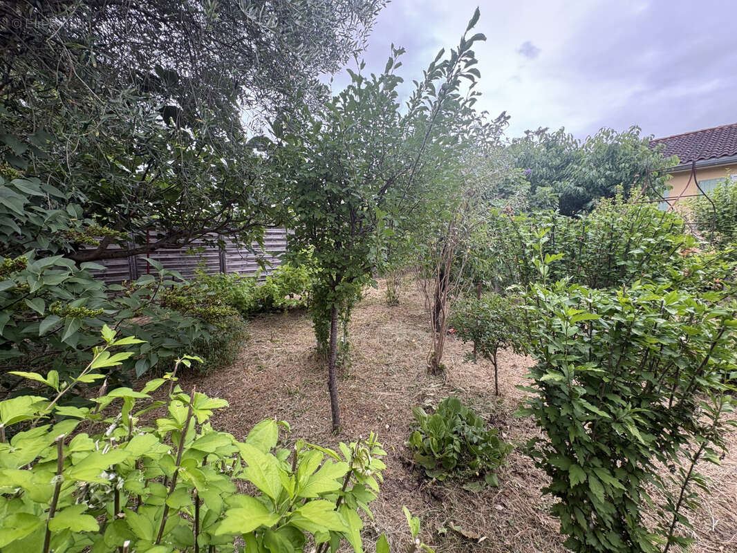 Belvèze-du-razès   villa de plain-pied 4 faces avec véranda, garage et jardin de 648 m2 - photo 25