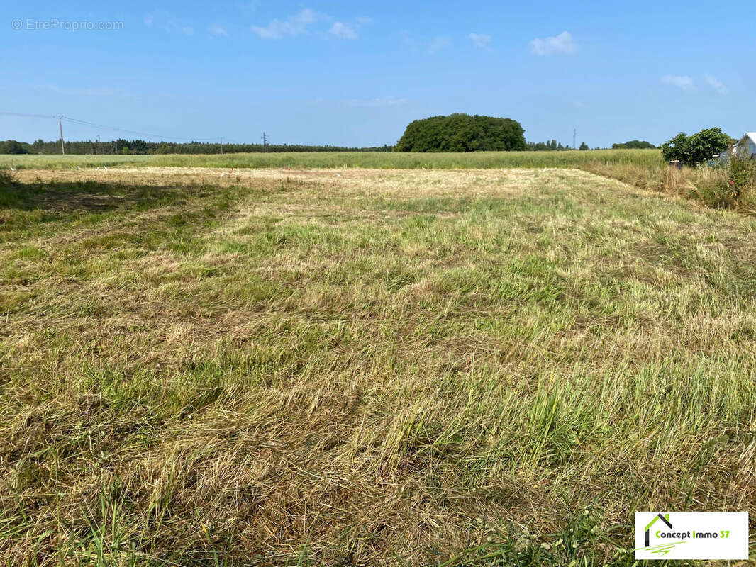 Terrain à ESVRES