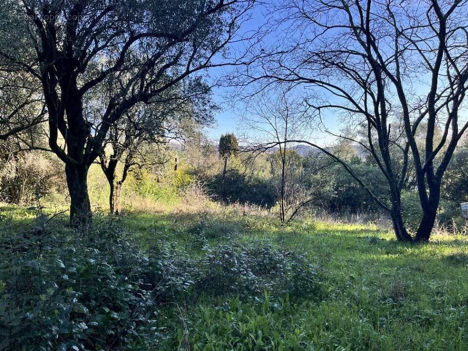 Terrain à GRASSE