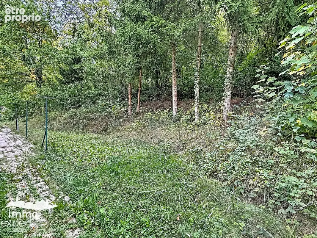 MIRECOURT   Maison familiale sans vis-à-vis avec jardin arboré et garage - photo 24