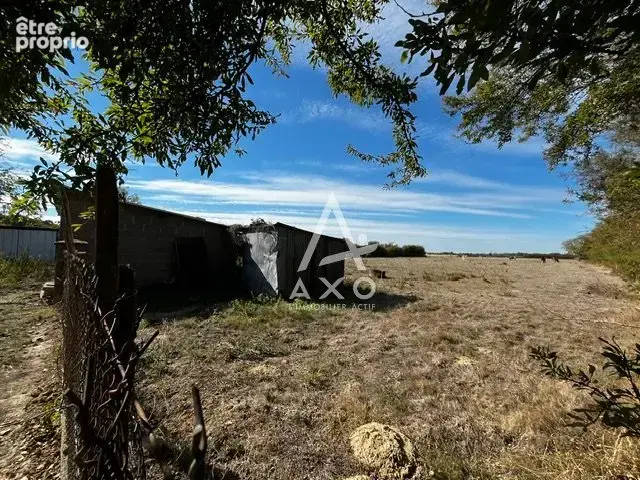 Coup de cur à saint-brisson-sur-loire ! - photo 21