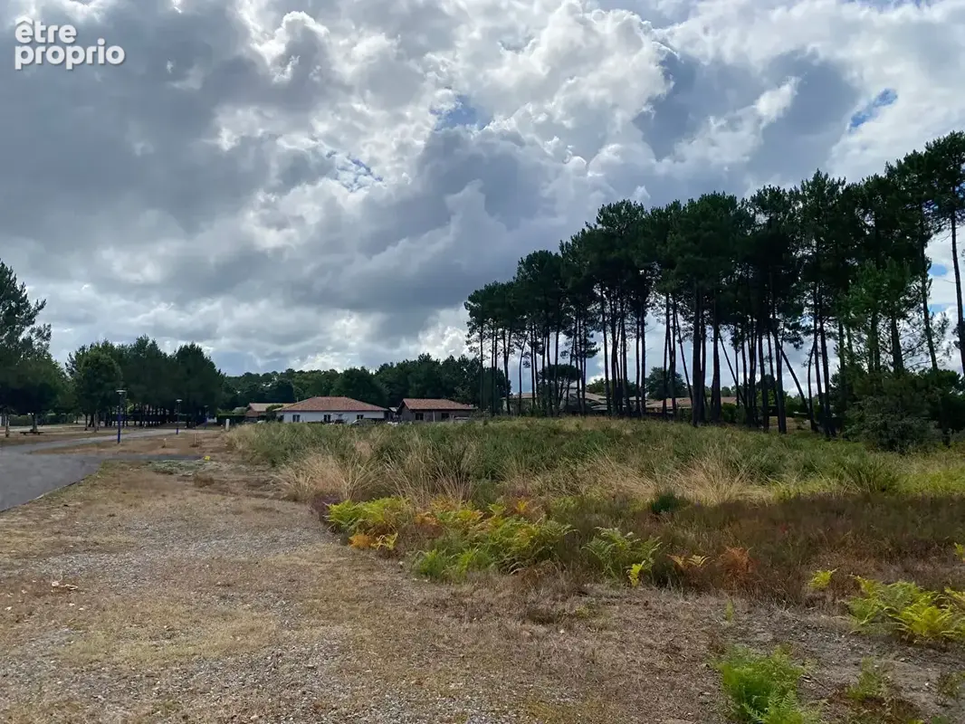 Terrain Rion Des Landes 1125 m2 - photo 3