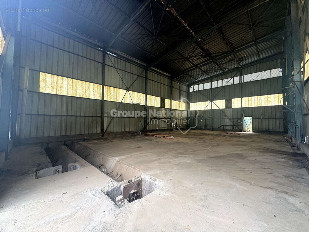 Commerce à LANSARGUES