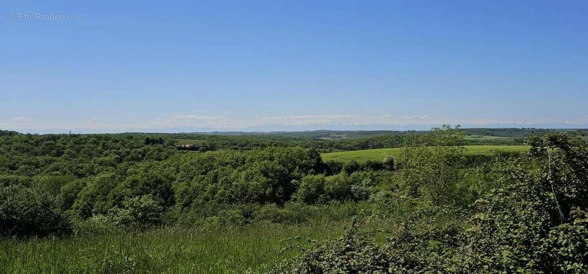 Terrain à ORDAN-LARROQUE