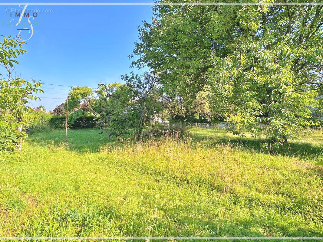 Terrain à SAINT-DENIS-LES-BOURG