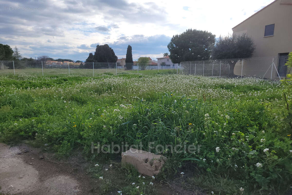Terrain à SAINT-LAURENT-DE-LA-SALANQUE