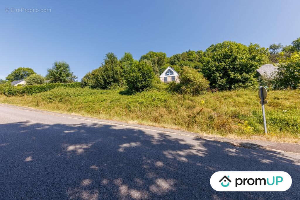 Terrain à MURAT-LE-QUAIRE