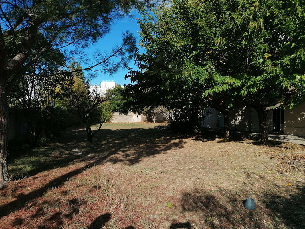 Maison à MONTPELLIER