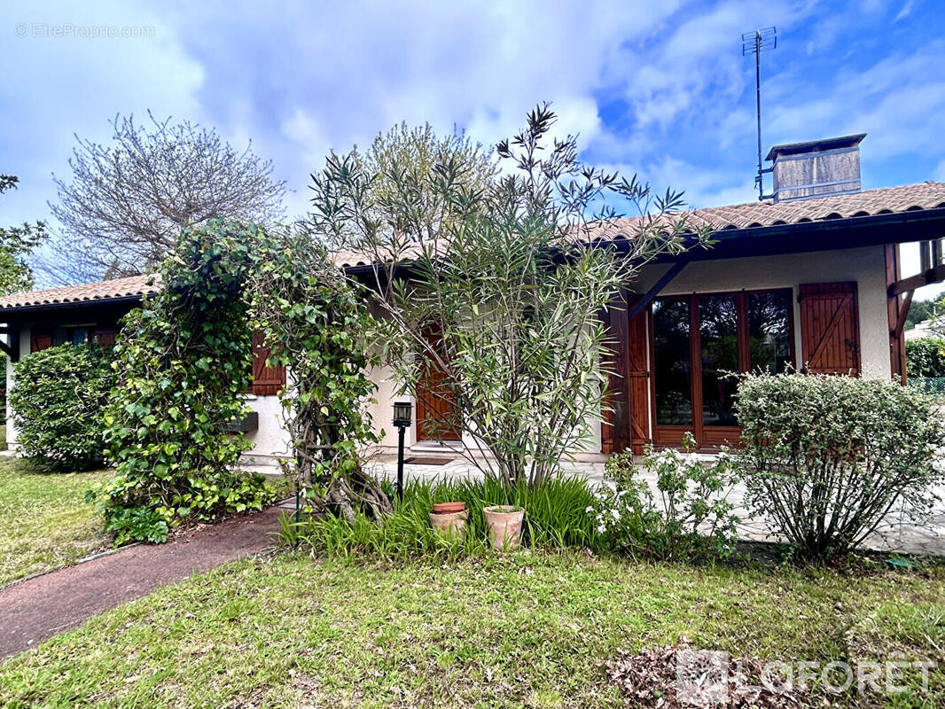 Maison à LA TESTE-DE-BUCH