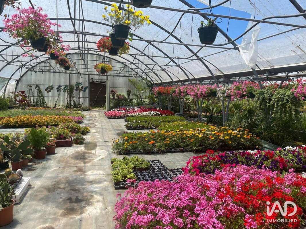 Photo 5 - Commerce à SAINT-DENIS-D&#039;OLERON