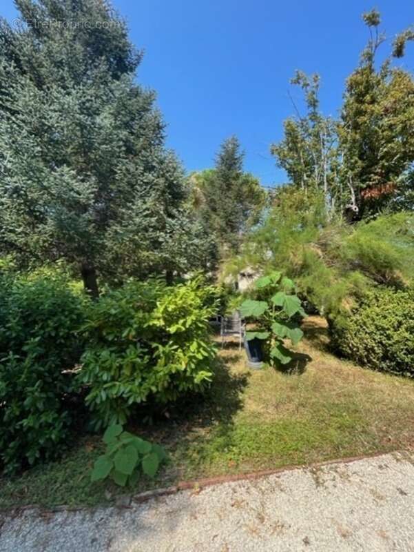Dpt  (32) : ELEGANT CHATEAU XIX, sans travaux, bases médievales avec douves, piscine, sur 9100m2 jardin clos - photo 39