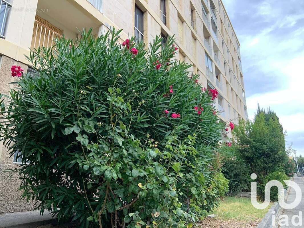 Photo 9 - Appartement à MARSEILLE-10E