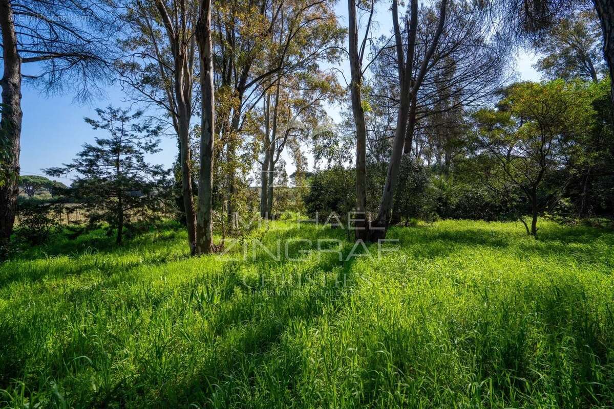 Maison à RAMATUELLE