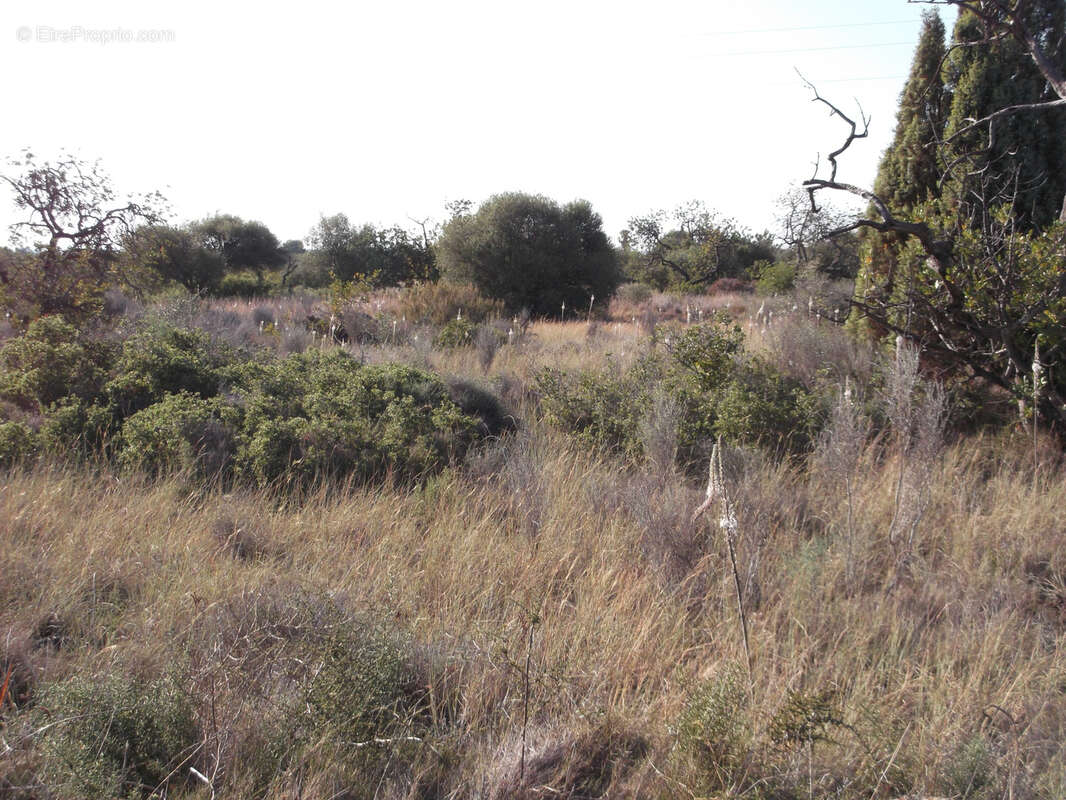 Terrain à PERPIGNAN