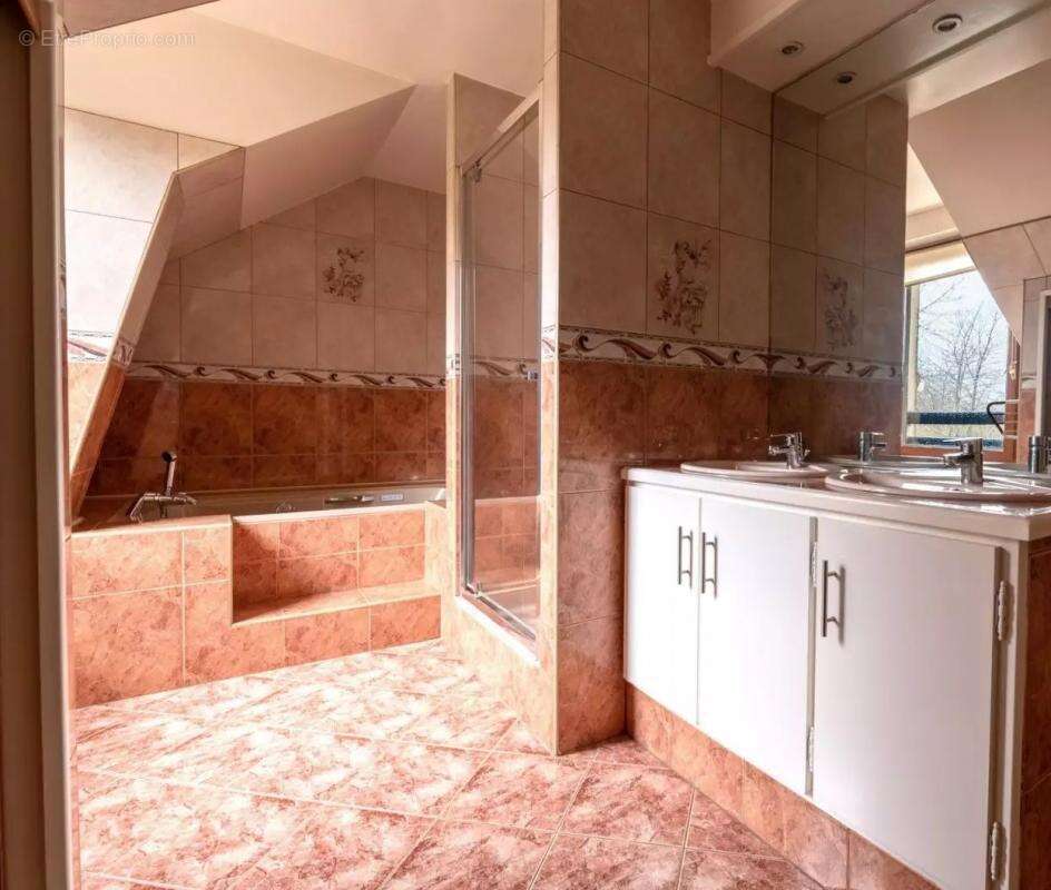 Maison à SAINT-JEAN-DE-BEAUREGARD