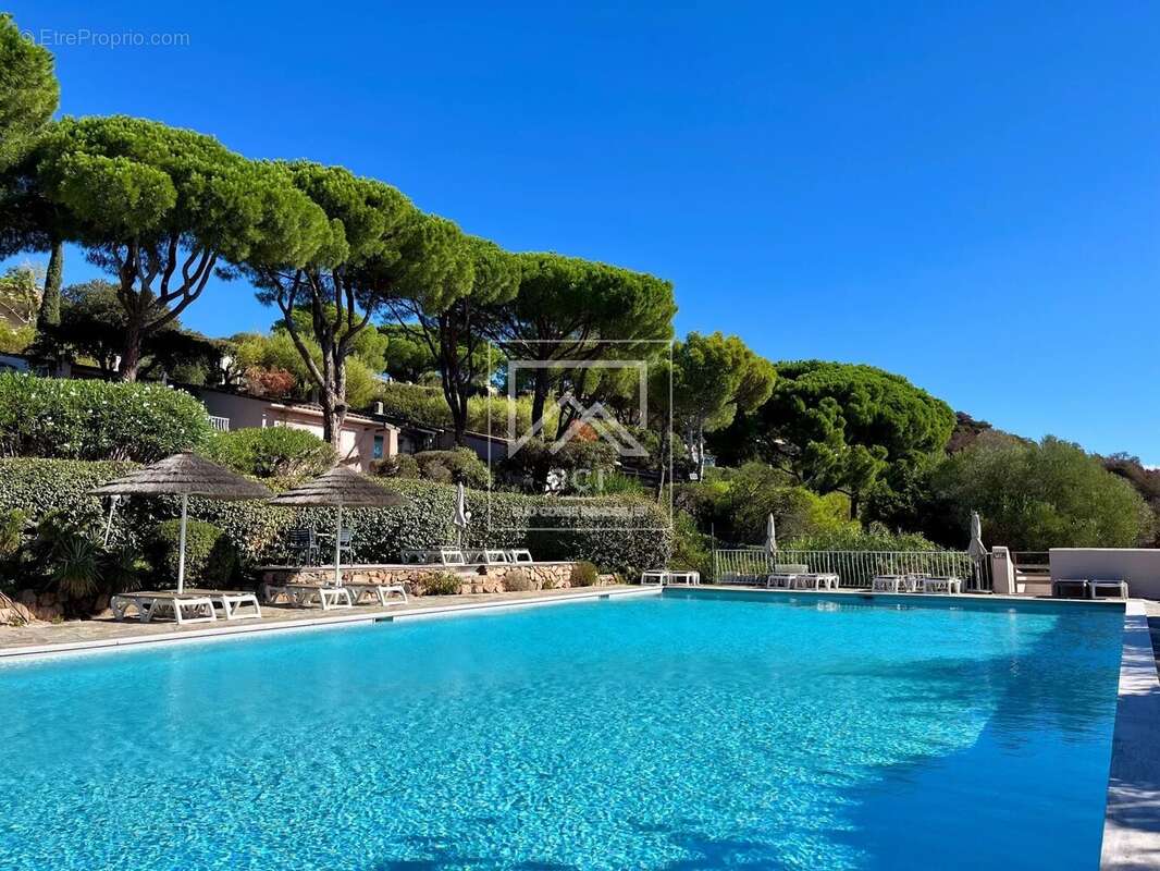 Appartement à PORTO-VECCHIO