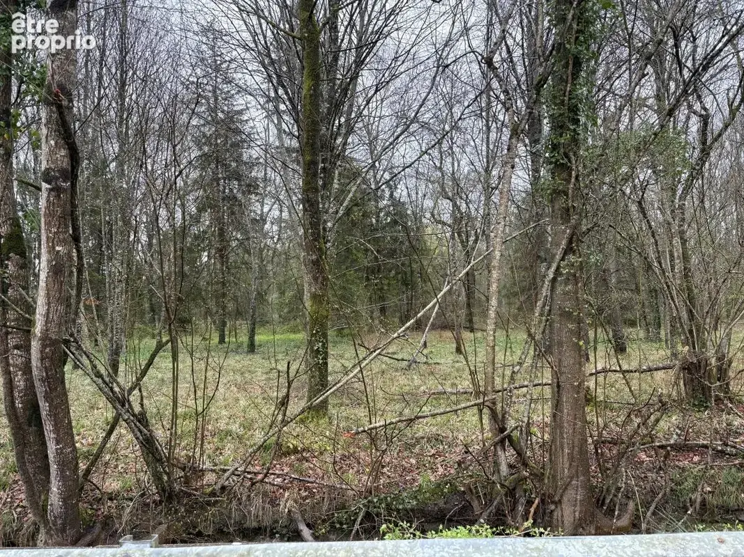 Terrain 49 799 m² à vendre à Les Fosses (79360) - photo 1