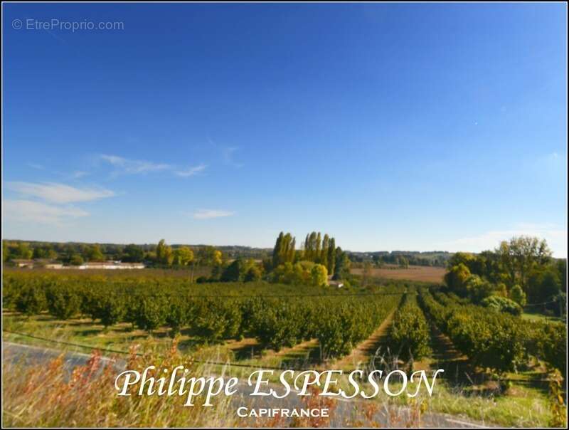 Terrain à DIEULIVOL