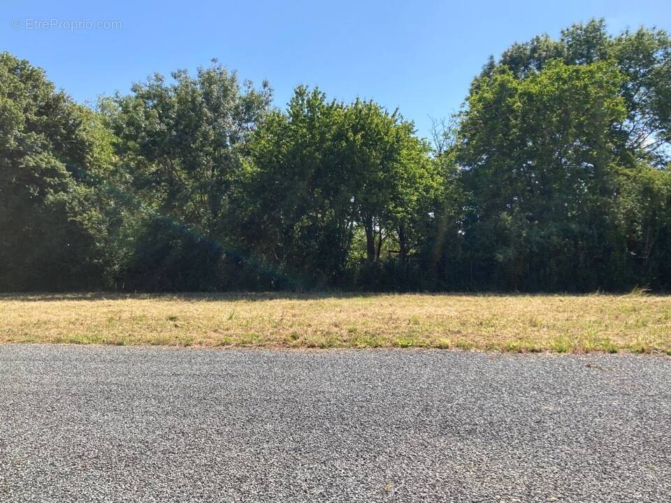 Terrain à SAINT-VAIZE