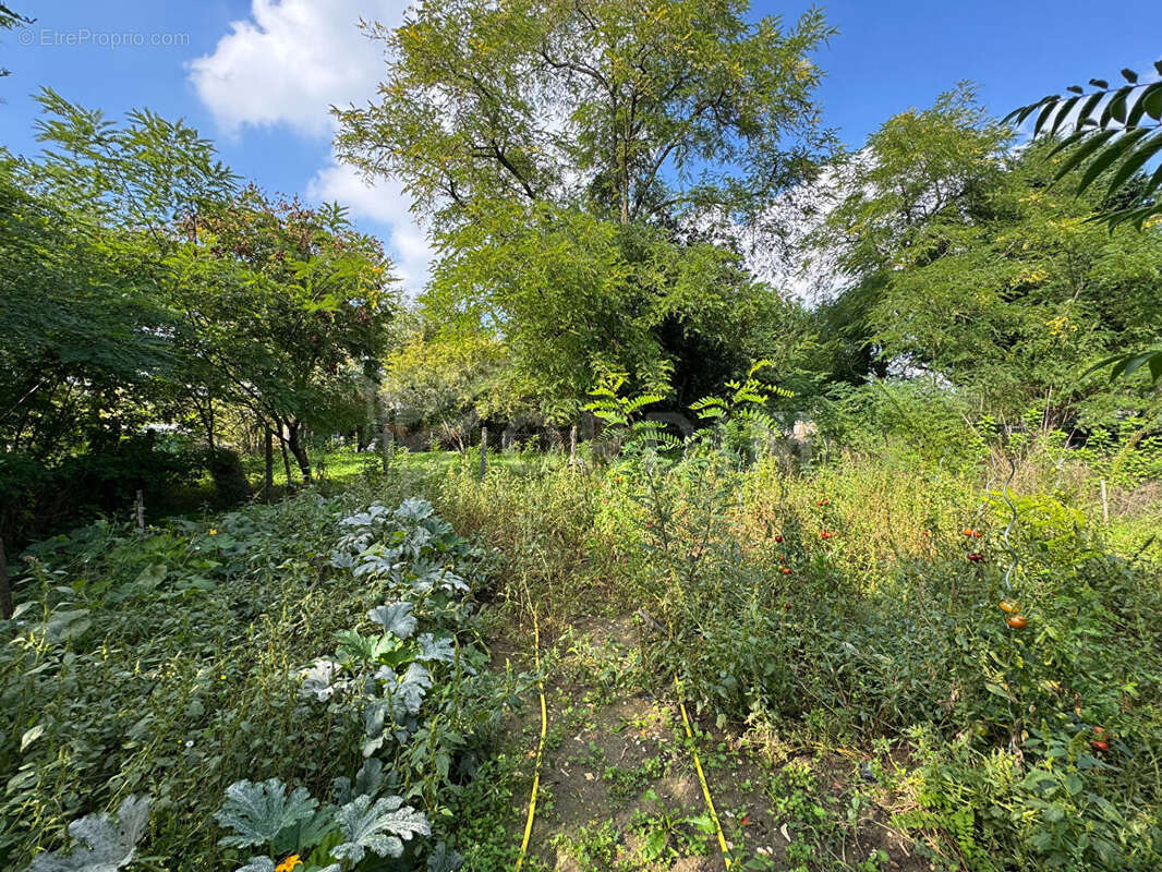 Maison à POUILLY-SUR-LOIRE