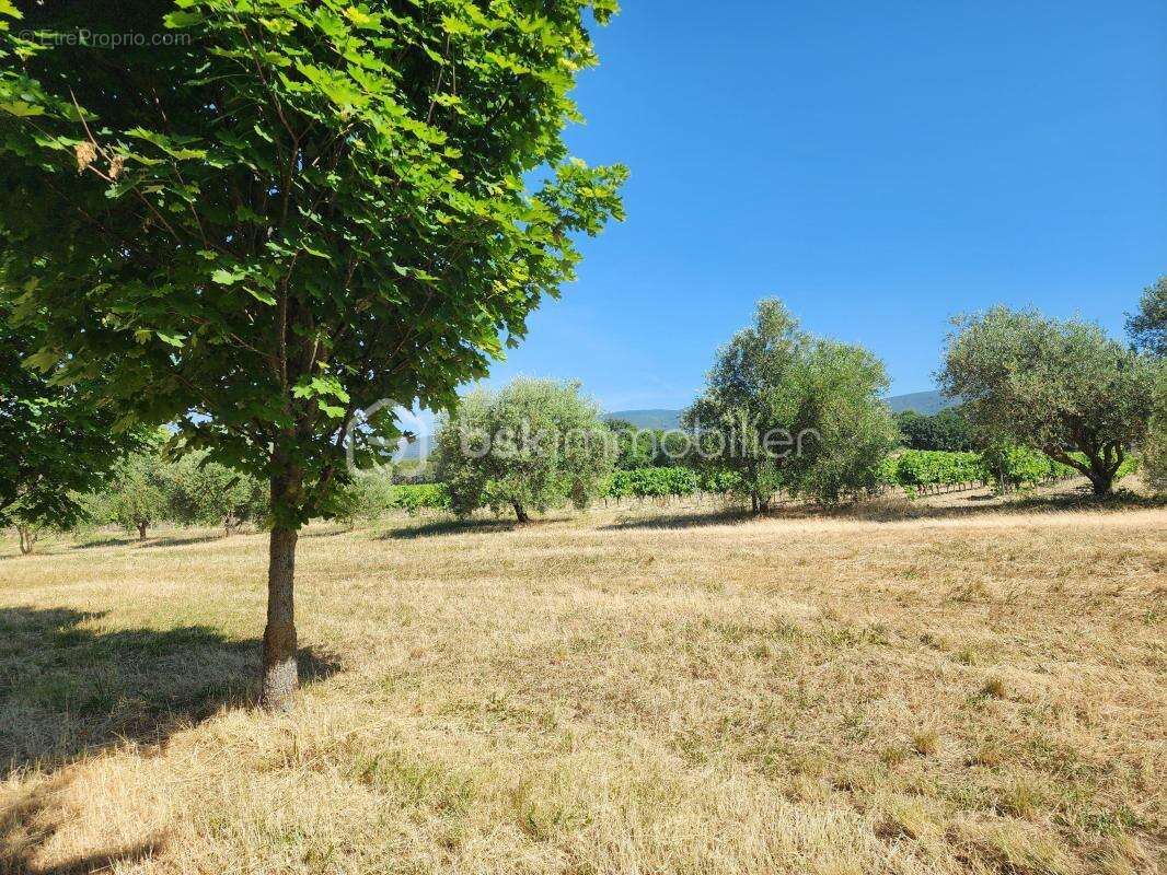 Mas Authentique au Cœur du Luberon sur plus de 2,7 hectares - photo 7