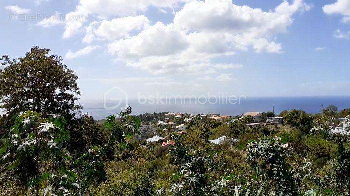 Terrain à VIEUX-HABITANTS