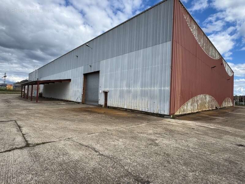 Commerce à CASTELCULIER