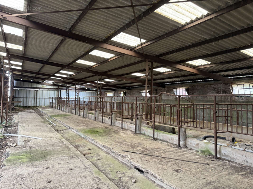 Propriété avec 2 hectares et hangar - photo 21