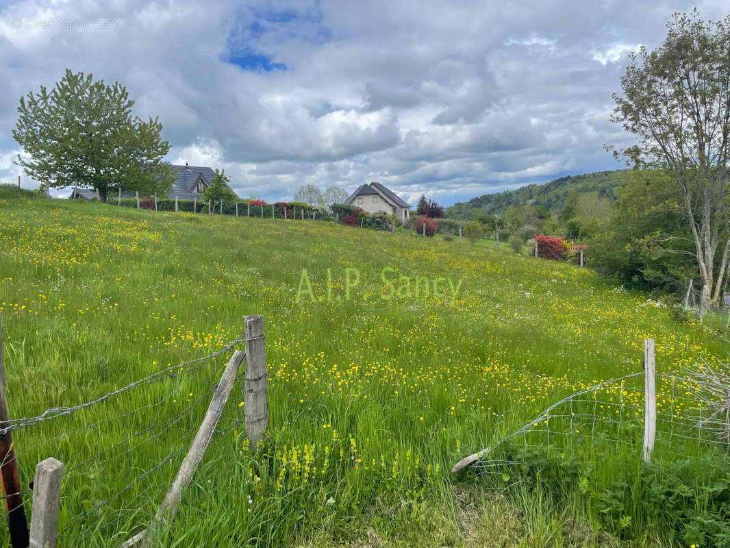 Terrain à SAINT-VICTOR-LA-RIVIERE