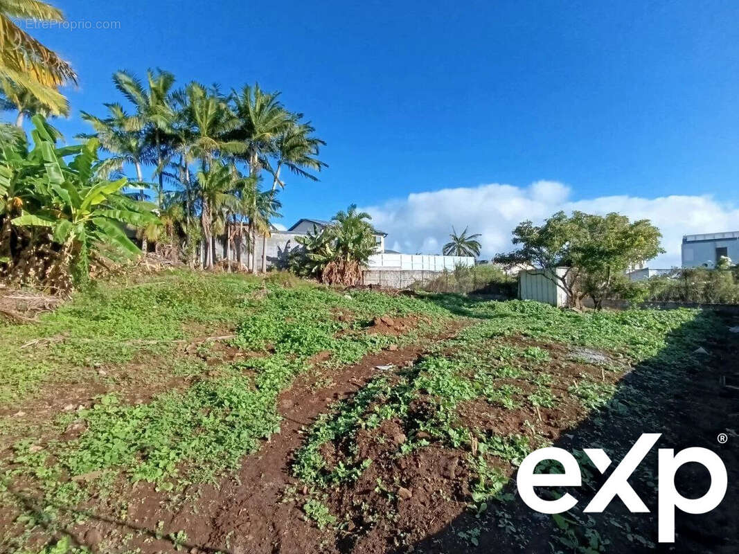 Terrain à LE TAMPON