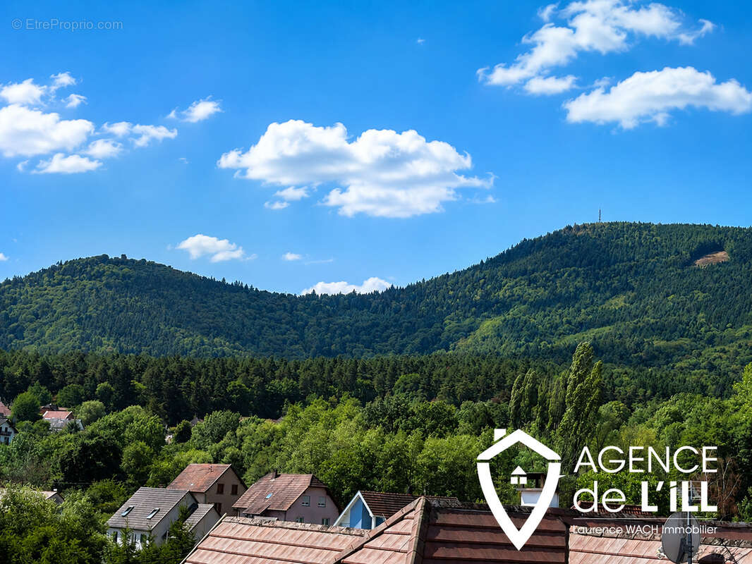 Dieffenbach-au-Val   Maison de caractère sur 12,51 ares avec vue dégagée - photo 9