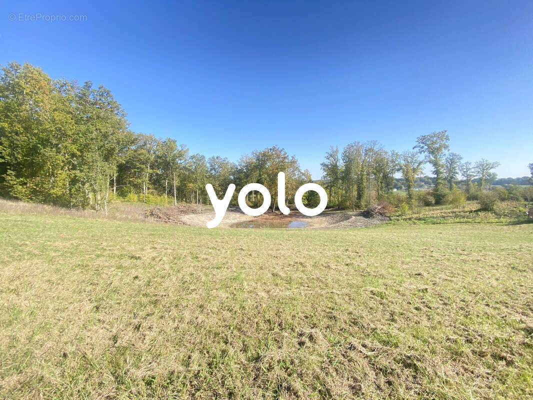 Terrain à MILHAC-D&#039;AUBEROCHE