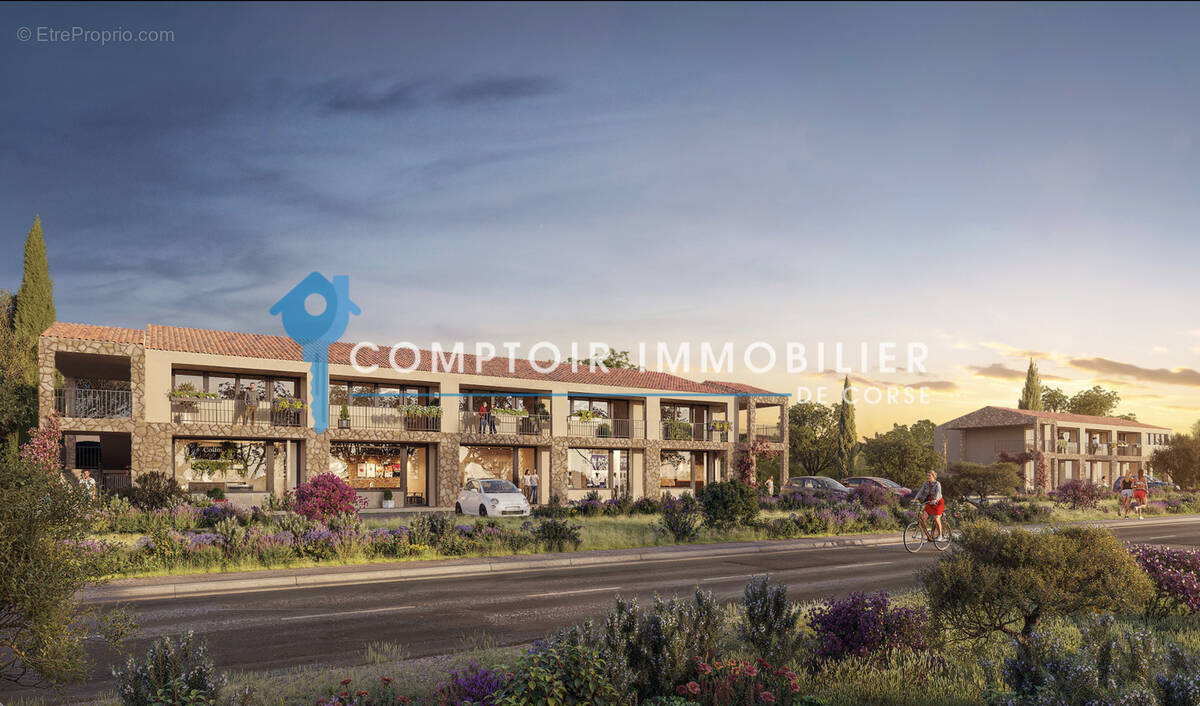 Commerce à SOLARO