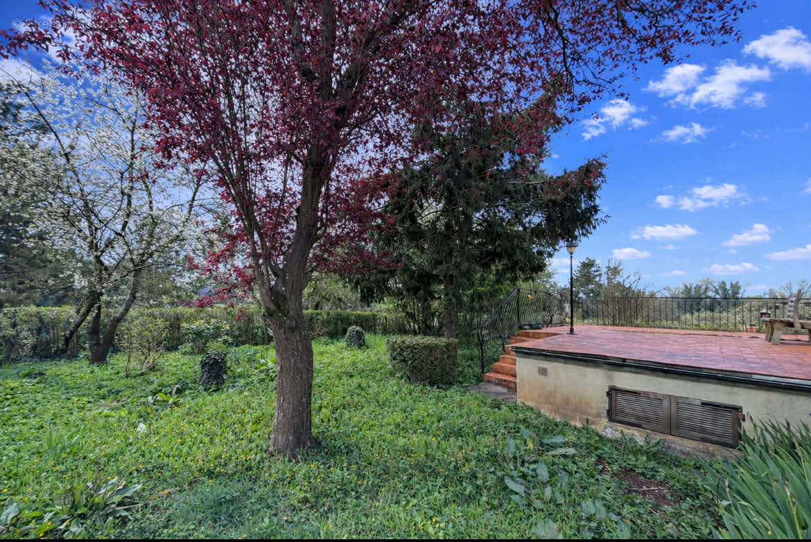 Maison à VILLERS-COTTERETS