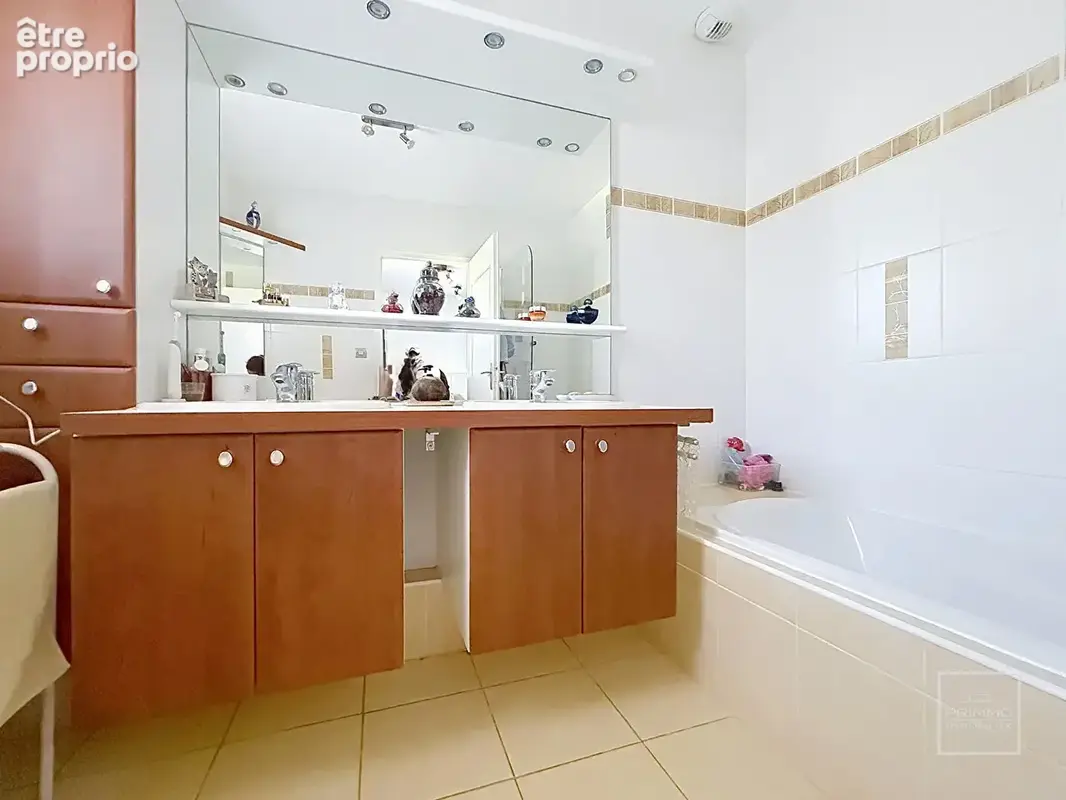 Saint Didier Au Mont D Or maison avec suite parentale de plain pied et jardin clos et plat - photo 7
