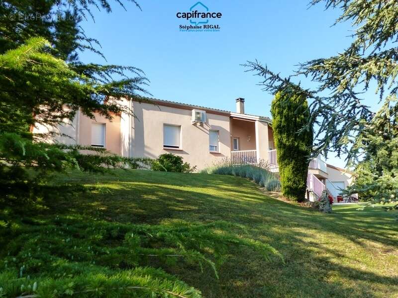 Propriete à vendre 6 pièces PENNE D'AGENAIS (47) Maison de 175m2 habitables + sous-sol sur 5245m2 de terrain - photo 15