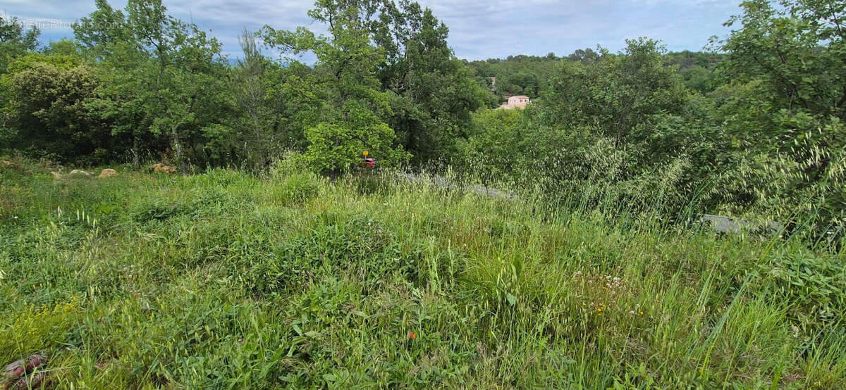 Terrain à SAINT-PAUL-EN-FORET
