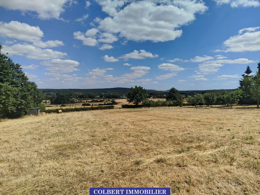 Un véritable coin de nature pour votre famille… avec plus de 8 000 m2 de terrain ! - photo 11