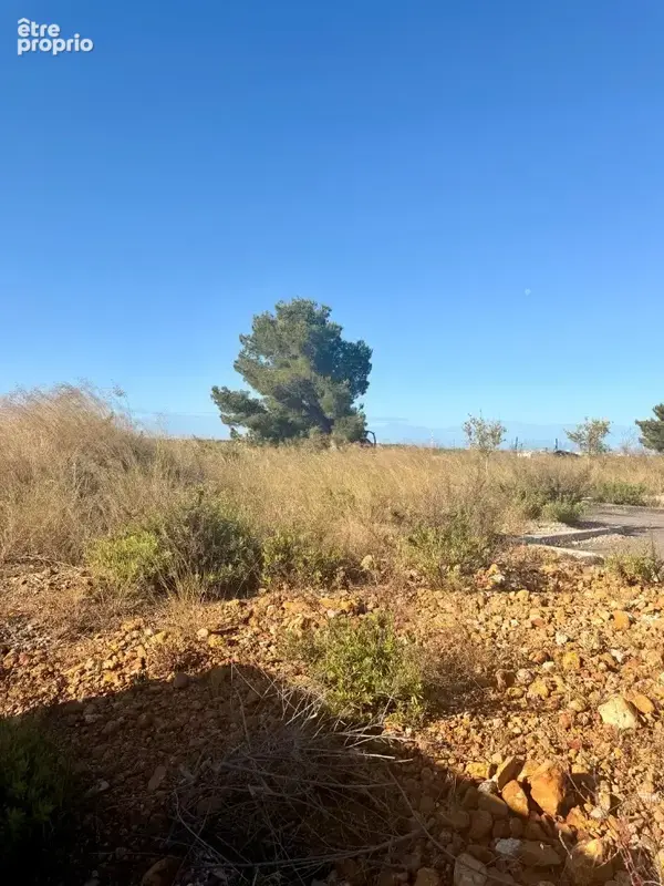 Terrain 403 m² à Martigues  - photo 4