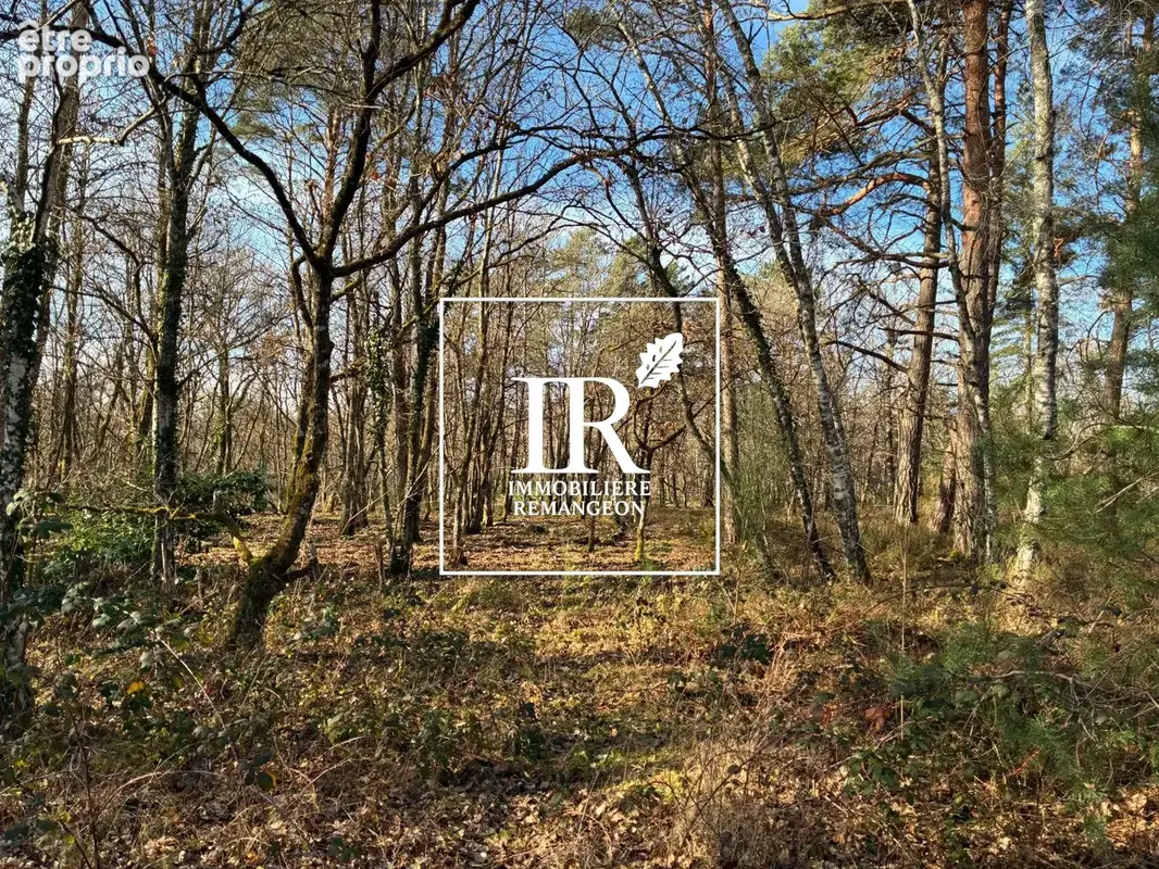Maison 13 pièces 377 m² à vendre à Lamotte-Beuvron (41600) - photo 4