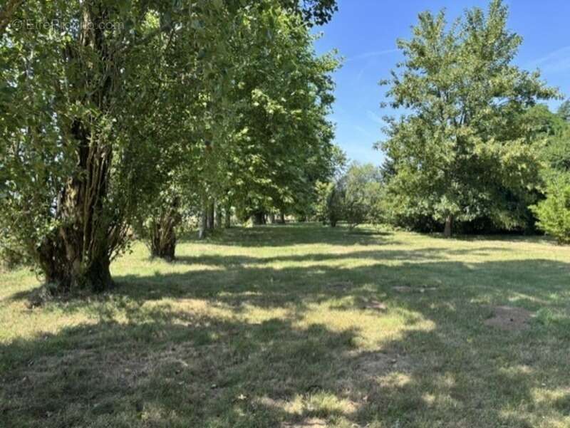 Un lieu de vie unique avec trois maisons aux possibilités infinies ! - photo 27