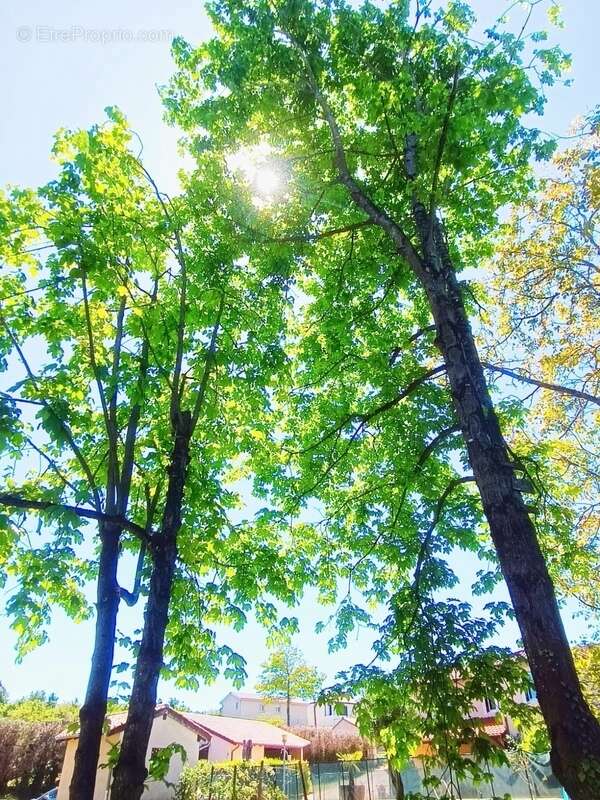 Maison à SAINT-ALBAIN