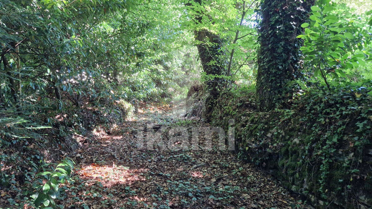 Ensemble de longères à rénover - photo 4
