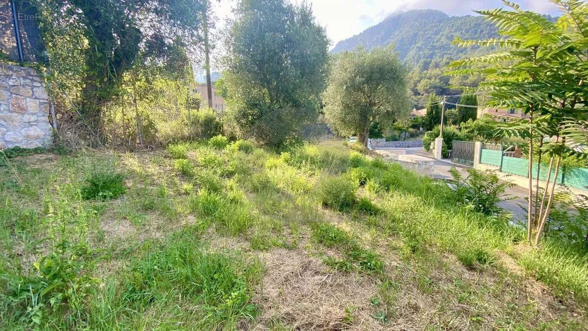 Terrain à GORBIO