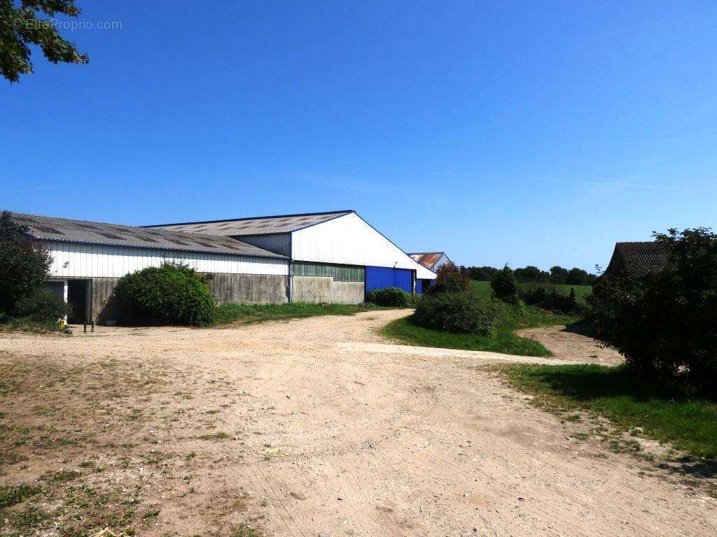 Exploitation agricole - photo 18