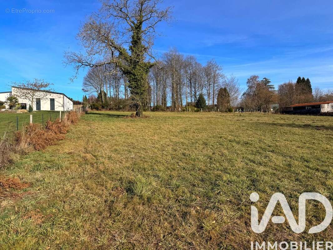 Photo 6 - Terrain à MOISSANNES