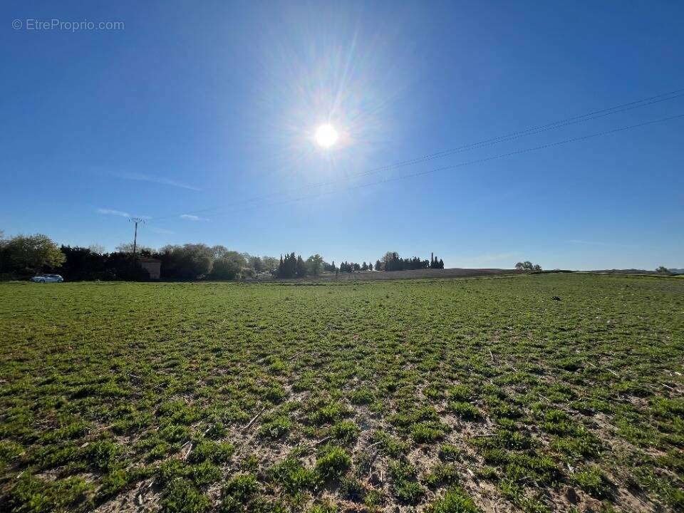 Terrain à LABASTIDE-D'ANJOU