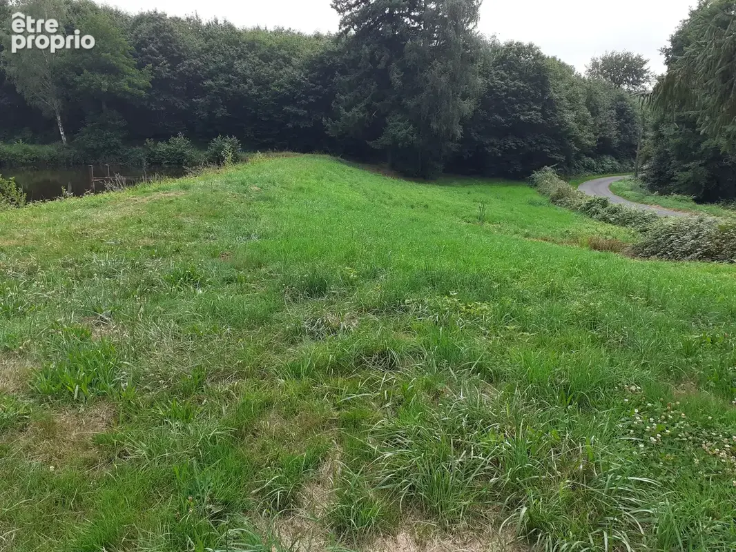 Terrain de loisirs avec etang - photo 3